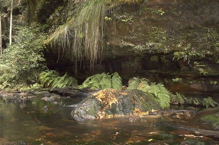 Water dripping on a rock in the forestの写真素材