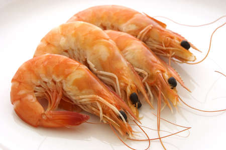 Group of prawns on a plateの写真素材