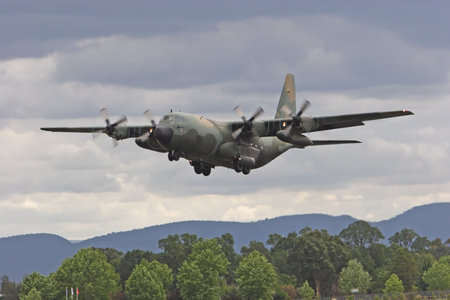 Military transport aircraft (Hercules) in flight