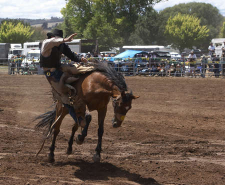 A rodeo riider riding a bucking horseの写真素材