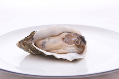 Single Oyster in its shell on a plateの写真素材
