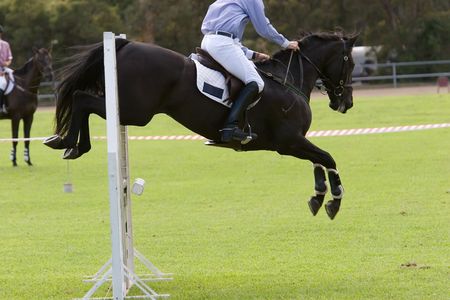 A horse jumping a barrier but knocking out a pole