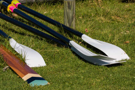 A number of boat oars lying on the grassの写真素材