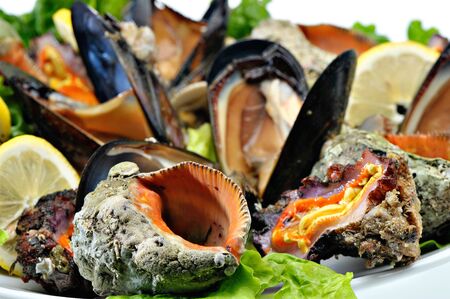 Mussels and shells