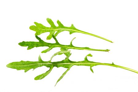 VEGETABLES FOR HEALTHY DIETの写真素材