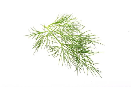 VEGETABLES FOR HEALTHY DIETの写真素材