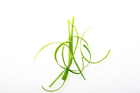 VEGETABLES FOR HEALTHY DIET