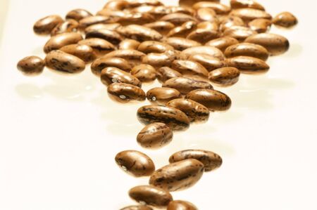 Greek traditional beans barbounia