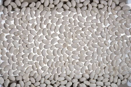 Greek traditional thick beans white agricultural legumesの写真素材