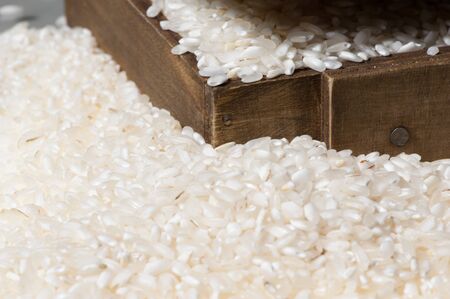 White rice karolina cereal food agricultural foodの写真素材