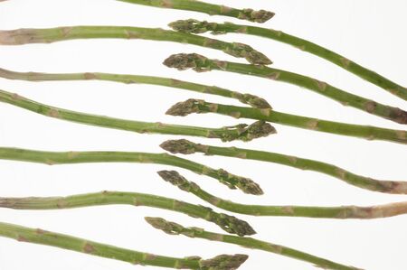 Asparagus green vegetable for healthy diet sparaggiの写真素材