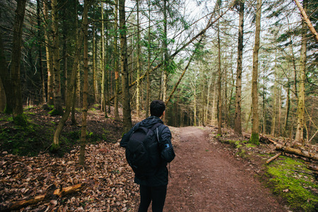 Young Man,Student hiking in forest.Man hiker smiling happy portrait looking up enjoying nature on foggy day during a trekking trip. Back of a young man outdoors in nature on a hiker path in forest.の写真素材