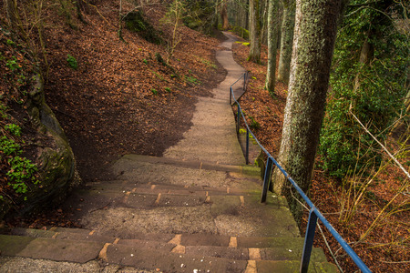 Stairs path in the forest for hicking.A staircase path in a densely wooded area in Mont-Sainte-Odile,Strasbourg,France.の写真素材