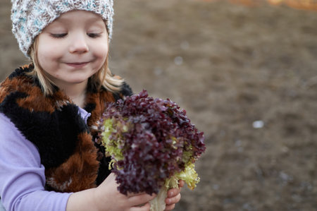 Young girls holding green lettuce salat leaves , in the gardenの写真素材