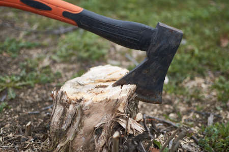 Axe stuck in a piece wooden stump
