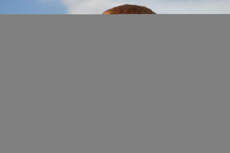 Happy ginger child lookin in shy sunny day