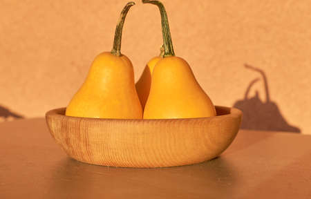 orange and dwarf pumpkins in a wooden dish under sunlightの写真素材