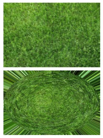 Green abstract conceptの写真素材