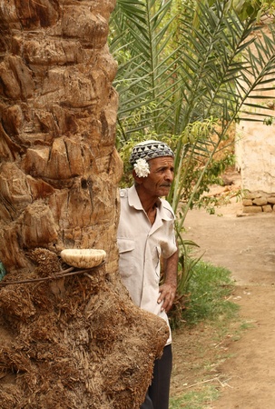 Old man resting near a palm tree in a desert oasis. Location: near Duz city at the edge of Sahara desert, Tunisia autumn 2008のeditorial素材