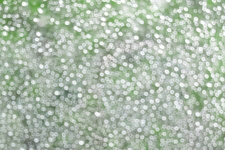 Clear white bokeh on the green backgoundの写真素材