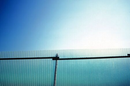 Green fenceの写真素材