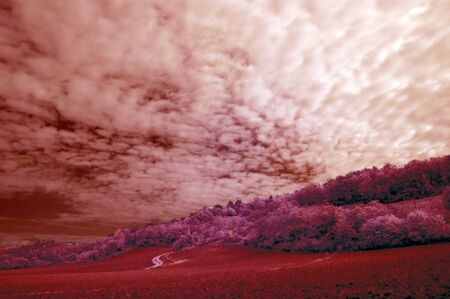 Infrared valleyの写真素材