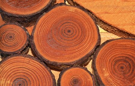 wood details