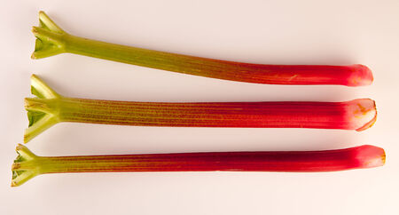 Fresh Rhubarb