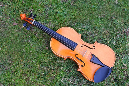 a violin on the grassの写真素材