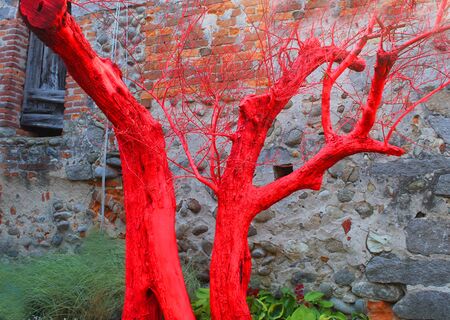 a pink tree trunk in front of an ancient houseの写真素材