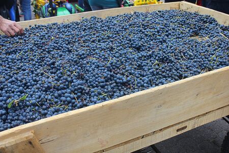 handcart with grapes