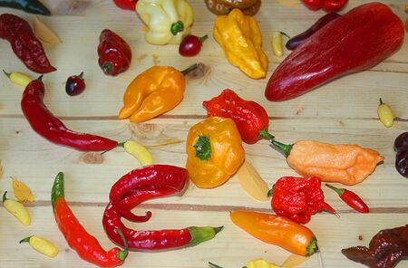 types of chili peppers on the tableの写真素材