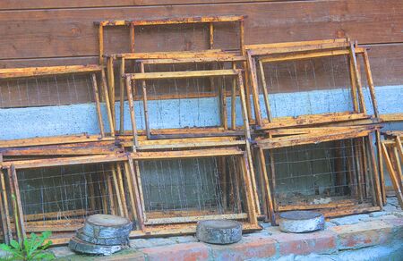 some honey frame for beehives