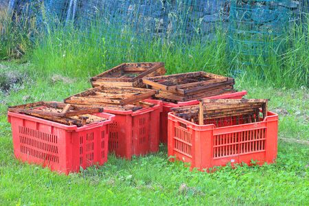 some baskets with frames for bees