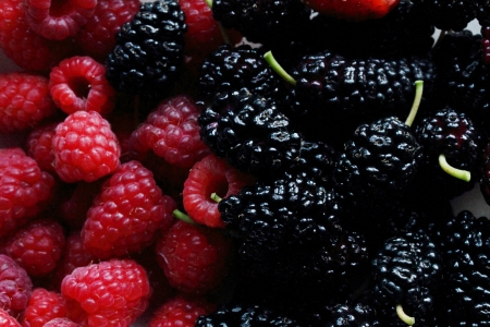wild strawberries