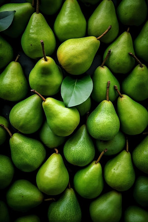 Fresh green pears with leaves on black background. Top view.の素材