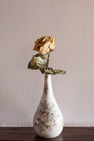 Dead rose in a vase with pink wall as background.の写真素材
