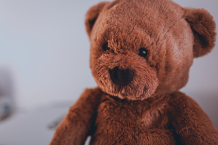 Cute teddy bear with white backgroundの写真素材