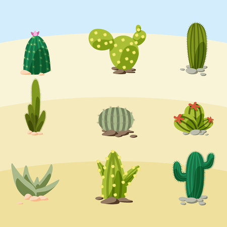 Cactus vector illustrationのイラスト素材