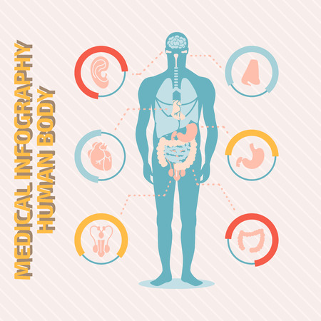 Medical infographic human bodyのイラスト素材
