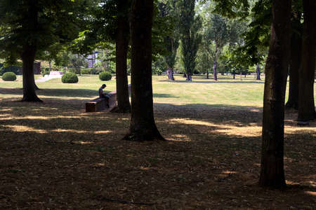 Man sitting on a brick wall next to poplars in a parkの写真素材