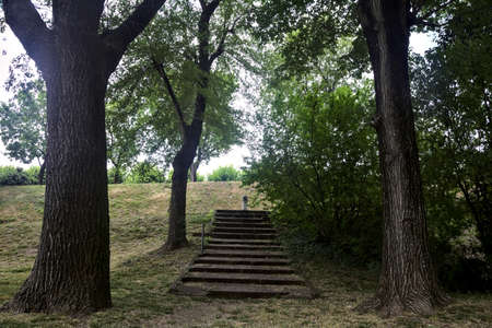 Staircase in the shade bordered by poplars in a park