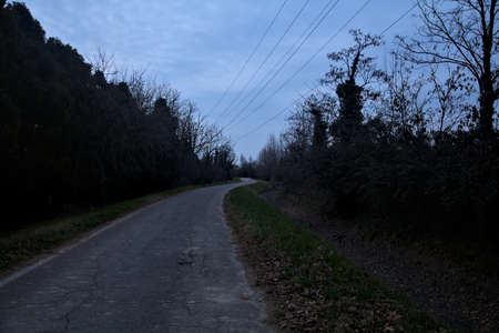 Country road next to a grove on a cloudy day at dusk