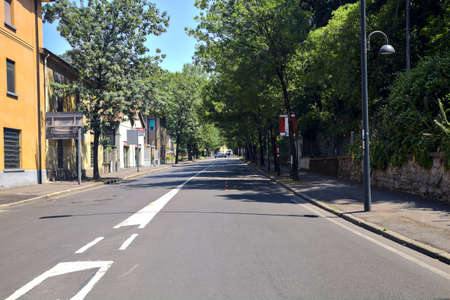 Road and pavement with trees in an italian townの写真素材
