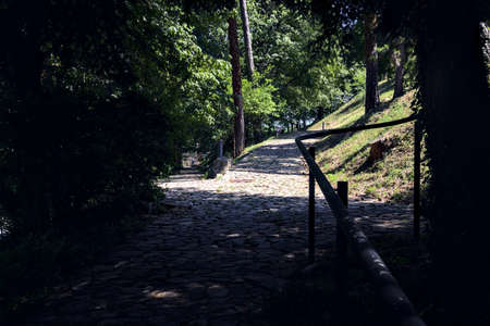 Crossroads between two path in a park on a sunny dayの写真素材