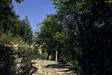 Cobbled path by the edge of a cliff with trees on a clear sunny day in a parkの写真素材
