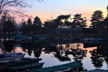 Pier in an inlet with moored boats and trees casted in the water at sunset