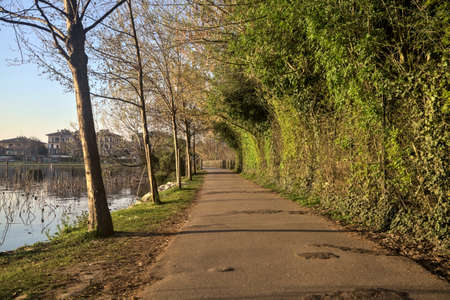 Path by the edge of a lake in a park at sunset