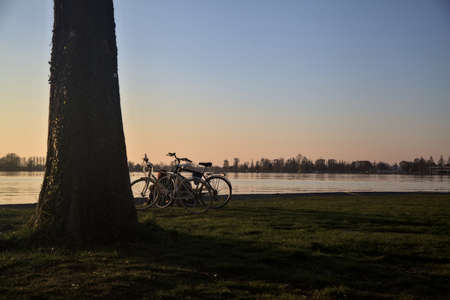 Parked bikes by the shore of a lake next to a tree at sunsetの写真素材