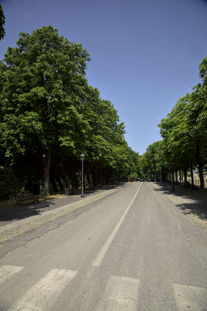 Uphill road bordered by trees on a sunny day